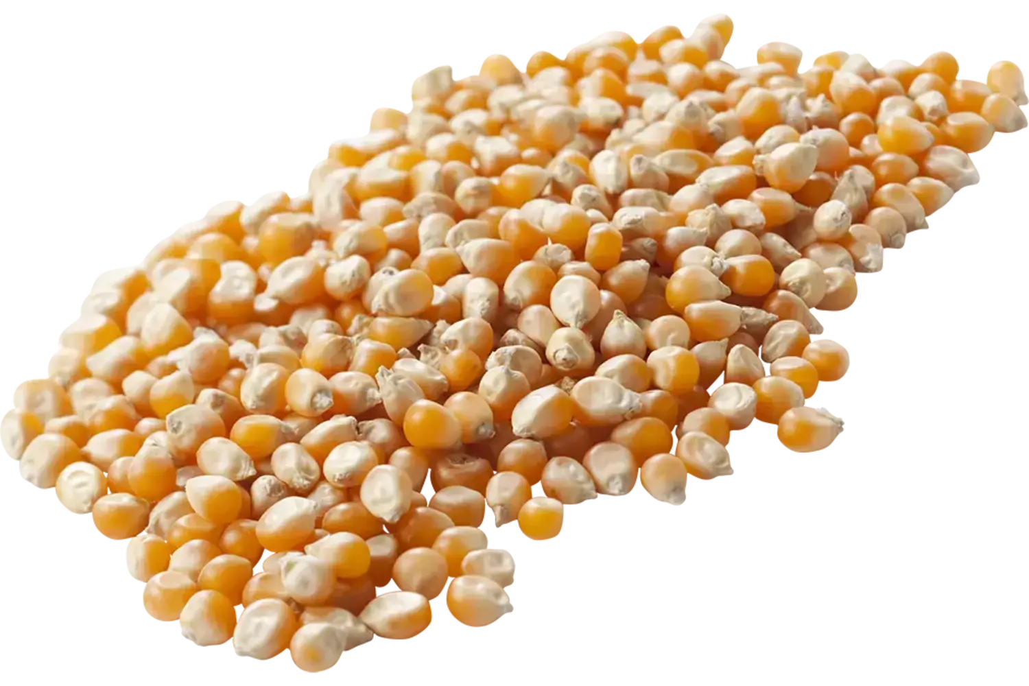 Popcorn mais 500gr stuk 1